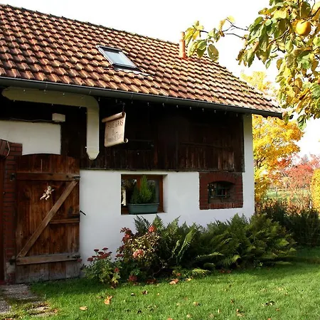 Villa La Grange de Jeanne à Moosch Extérieur photo